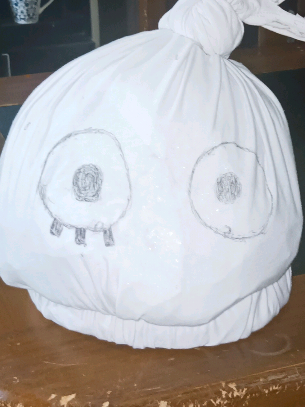 Garbo my beloved ❤️‍🩹❤️‍🩹❤️‍🩹 #garbo #meeleniacs #meleeniacsgarbo #roblox #axosun 