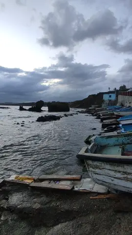 #fyppppppppppppppppppppppp #foryou #fyp #الجزائر🇩🇿 #algerie🇩🇿 