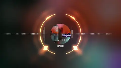 اغنيه مطلوب  #اغنيه #ريمكس #ليبيا🇱🇾 #ليبيا_طرابلس_مصر_تونس_المغرب_الخليج #الجزائر🇩🇿_تونس🇹🇳_المغرب🇲🇦 