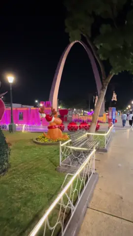 Mi Tacna Querida 🤩                                         Feliz Navidad 🎄🎁 2025 #feliznavidad #fypシ゚viral #viral_video #viralvideotiktok #fpyシ 