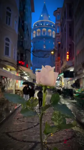 #BehzadFarukhari #PersianMusic #EmotionalVibes #SadSong #FYP 