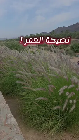 نصيحة العمر  #CapCut # #اكسبلور  #creatorsearchinsights 