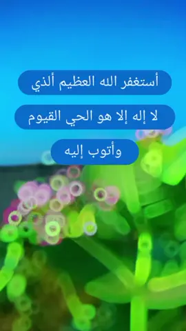 أستغفر الله العظيم ألذي لا إله إلا هو الحي القيوم وأتوب إليه