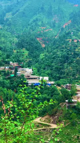 #CapCut #✈✈✈✈✈✈✈✈✈🛫🛫🛫🛫🛫 #💸💸💸💸💸💷💷💶💶💸💸💸💸💸 