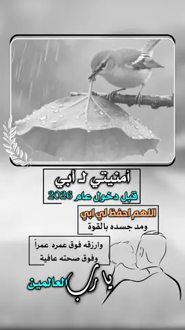 امنيتي لأبي قبل دخول سنة. #2026 #إيفان_الجيزانيه #دينيه #امنيني_لأبي 