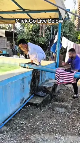 #LIVEIncentiveProgram #LIVEStory #PaidPartnership 