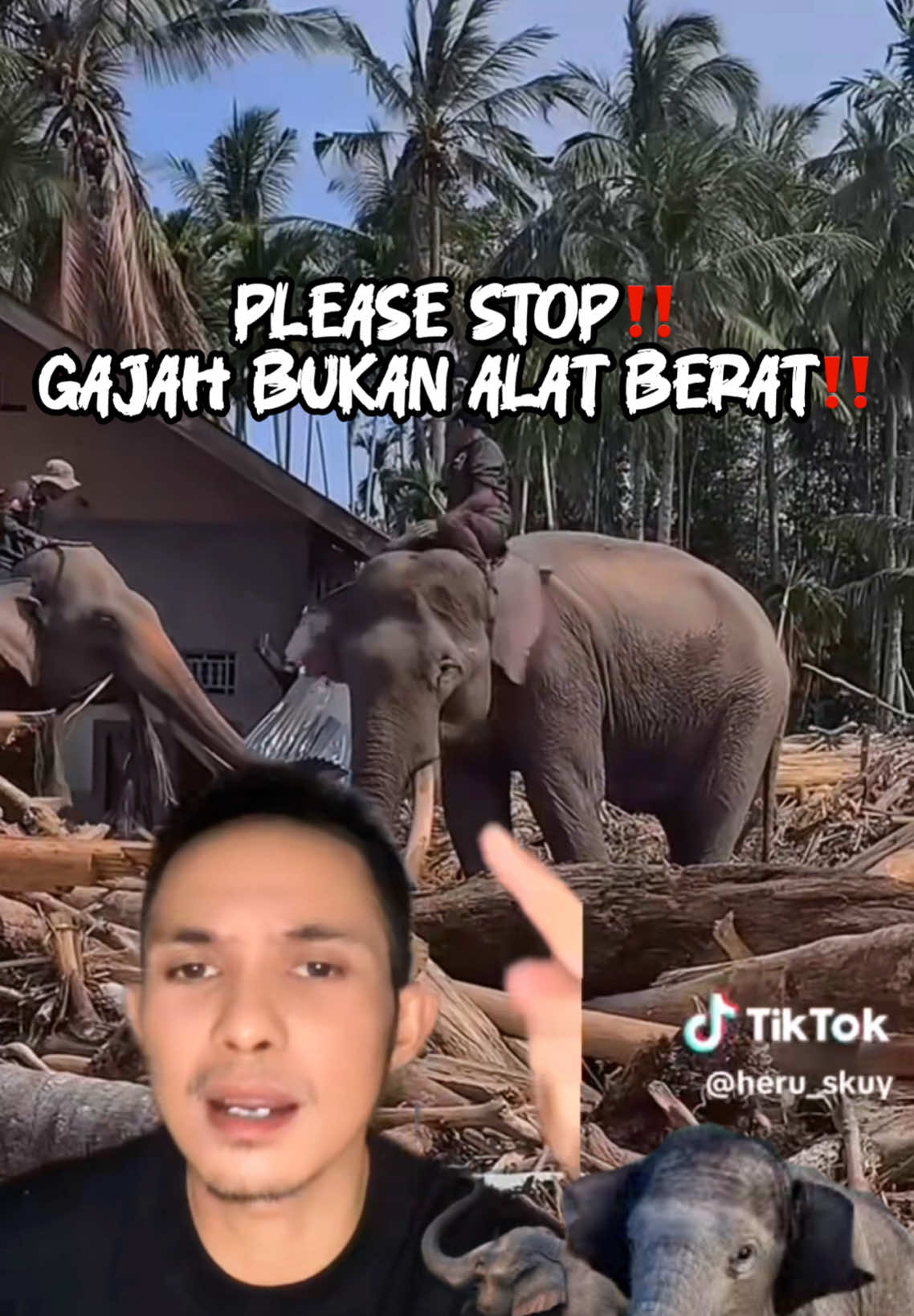 Tega banget‼️ Gajah-Gajah dari Balai Konservasi Sumber Daya Alam (BKSDA) di Aceh, diperintah untuk membersihkan kayu bekas banjir di Aceh. PLEASE SHARE ATAU SPEAK UP SOAL INI GUYS karna ini gak adil banget utk Gajah2 itu🙏 #dhyonleestory #savegajahsumatera #banjirsumatra #aceh #gajah  Keywords: Gajah bersikah kayu di sumatra, gajah bersihin bekas banjir, gajah bersihin kayu bekas banjir di aceh, gajah kehilangan rumah, gajah sumatra terancam punah, save gajah sumatra, gajah banjir sumatra, save animal, save elephant,