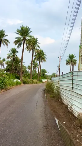 #تصويري_احترافي_الاجواء👌🏻🕊😴 