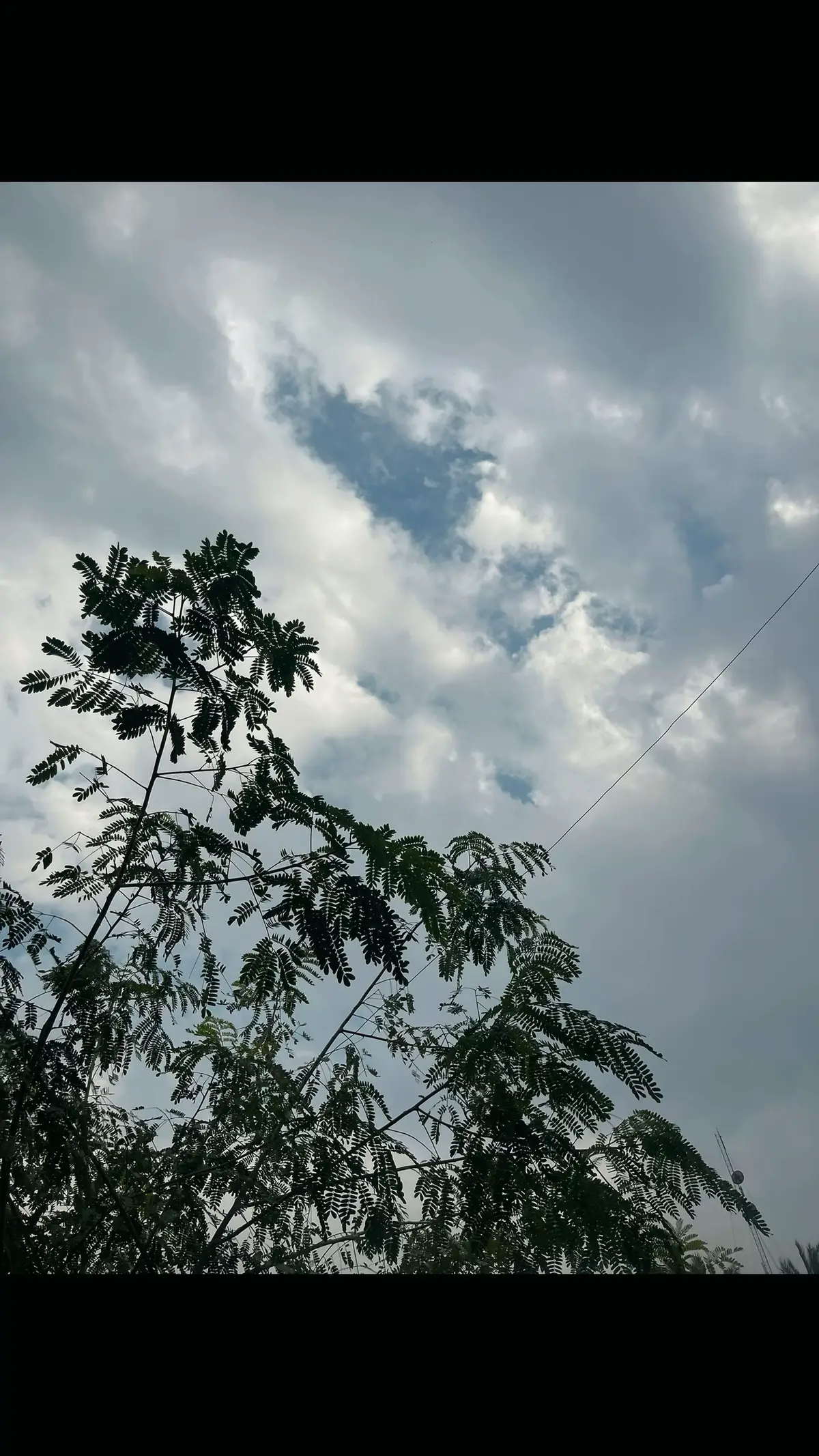 #tik_tok #اجواء_الشتاء_والمطر🌧 #باسم_الكربلائي #tik_tok #نوصل1k 