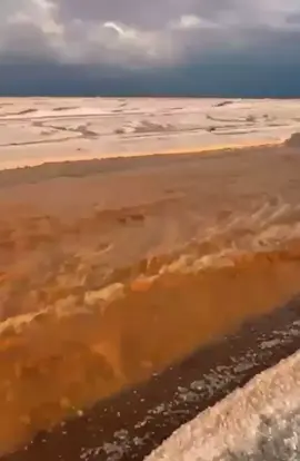 #الخنفة #شمال العسافية# اكسبلور#اكسبلورexplore 