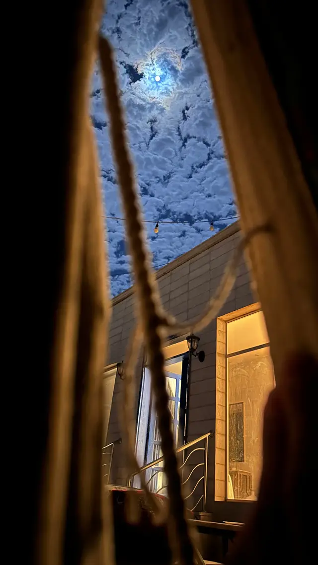 ❣️❣️#foryoupage #fyp #fypツ #viral #بيشة_اكسبلور 