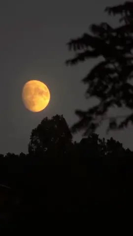 #yppppppppppppppppppppppp 