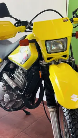 Una pollita recién nacida🔥🚀🐣#dr #dr650 #fypシ #venezuela🇻🇪 #suzuki 