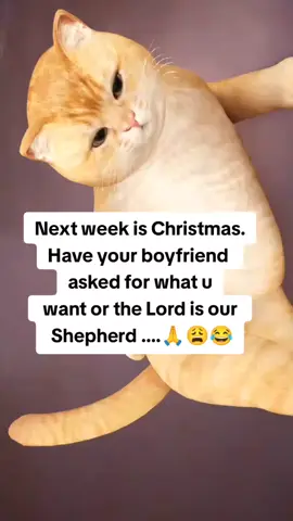 #creatorsearchinsights #funnyvideos😂 #fypシ゚ 