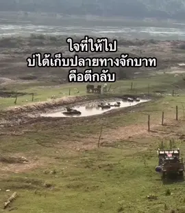 คือตีกลับ#เธรด #สตอรี่สีม่วง💜 #เธรดเศร้า #ฟีดดดシ #สตอรี่_ความรู้สึก😔🖤🥀 