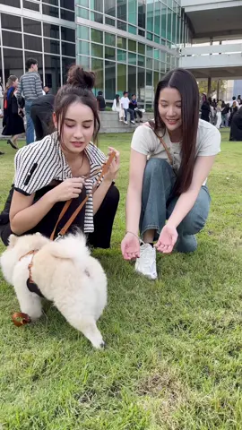 พี่ณัฐน้องเจ ใช้คำว่าน่ารักสิ้นเปลืองมากค่ะอุนแม่💕🦙🐒 @ginny🦙 @J  ##พิษรัก##GinJay##ALKEY##PoisonousLoveTheSeries ##ginnynatnicha 