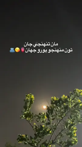 🫀 #viralvideo #fouryou #sindhisong #fyp #fppppppppppppppppppppppp 