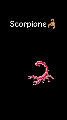 ##oltretuttosenzaconfini #scorpione #riflessioni #segnozodiacale #voliamoneiperte❤️ 