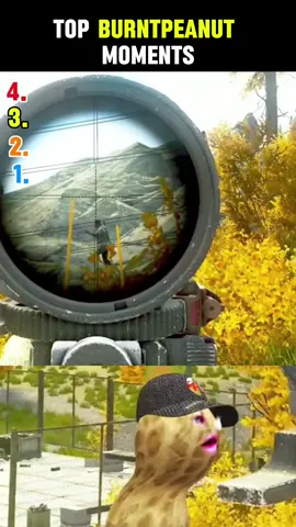 the peanut #theburntpeanut  #burntpeanut #streamerawards2025 #viral #ranking #funny #arcraiders #meme 