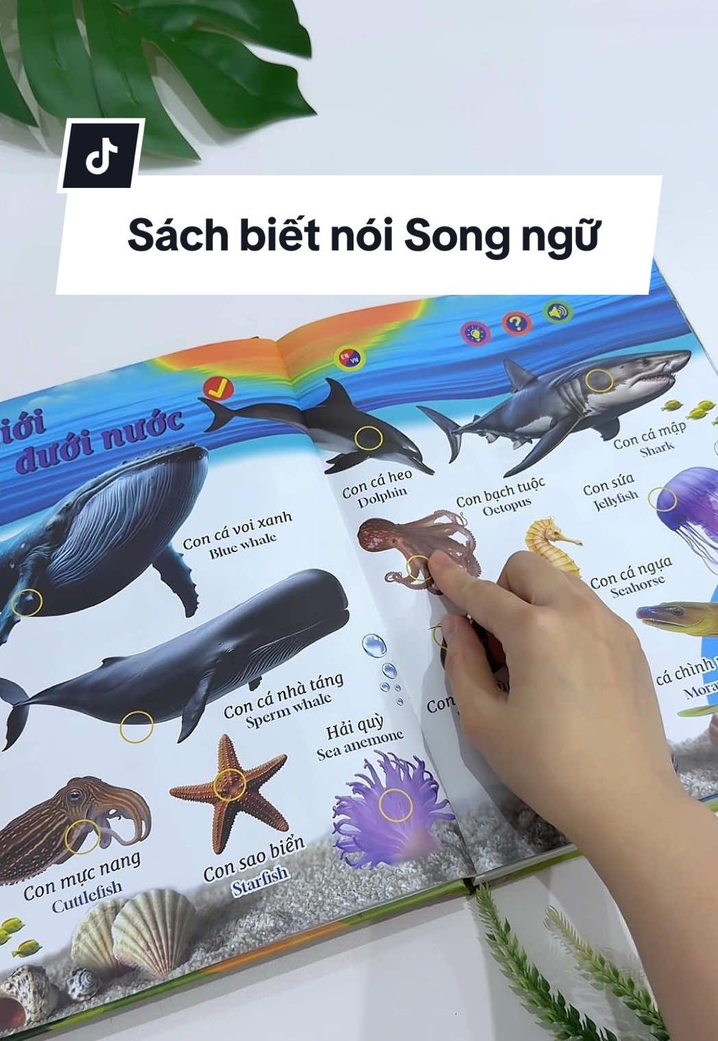 Sách biết nói Song ngữ chủ đề động vật #sachbietnoi #sachbietnoisongngu #sachchobe #tomhandsome #mevabe  @Tom handsome 👶🏻 