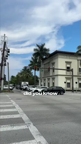 Shop sustainably this holiday season at @healtheplanetshop 🛍🎄 100% of profits for to @healtheplanet 🌎 #fortlauderdale #soflo #hiddengems #southfloridahiddengems #ecofriendlyshop #ecofreindly #biodegradable #healtheplanet