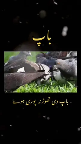 Wery vich udasi desdi ty baap bina #baap #perdasi #yaad #trending #viraltiktok #fyp #uk 