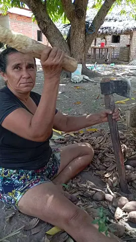 Gongo . . . . . . . . . . . . . #tonhaquebradeiradecoco 