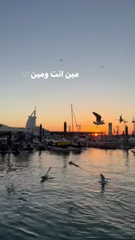 #chebmami #dubai #viral #fyp 