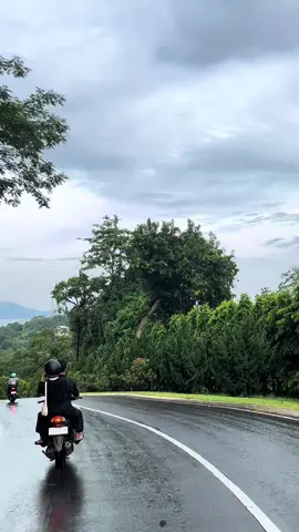 Akhirnya lewat jalan terindah di lampung🌲🌲#kyokobeach #lampungpride 