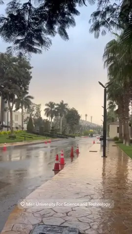 #fyp #foryoupage #مطر  