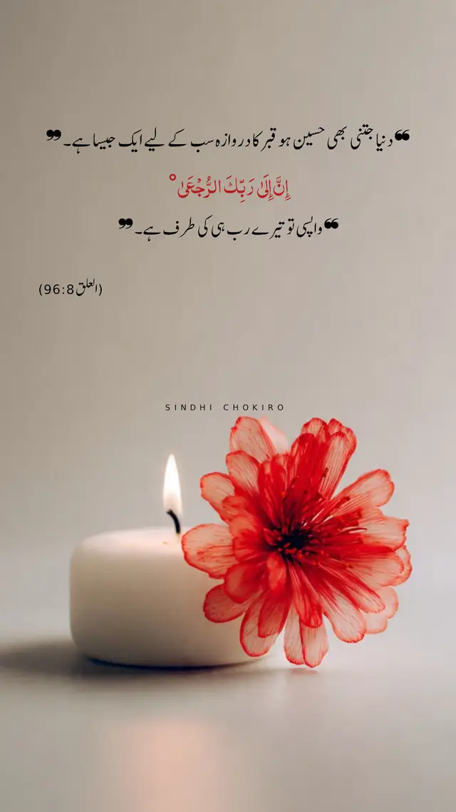 #foryou #foryou #foryou #foryou #foryou @TikTok 