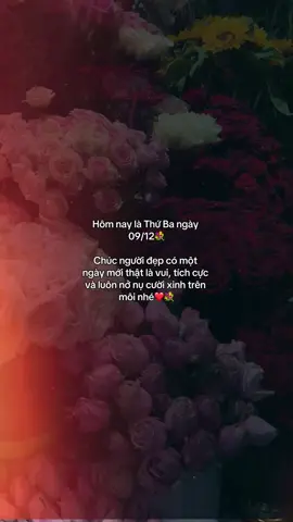 #suyymottchut #viral #fyp 