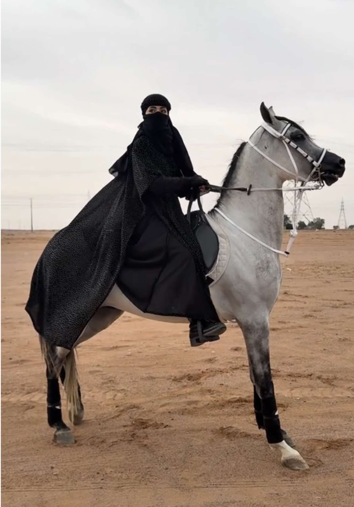 العاصي ماشاءالله🩶  #خيل_وخياله🐎 #اكسبلورexplore 