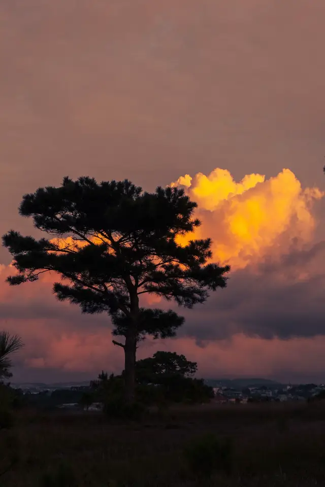 Đà Lạt những tháng cuối năm, sau mùa bão là mùa hoàng hôn của Đà Lạt mùa của Bầu trời tan ca  #đalat #hoanghon #hoanghondalat #foryou 