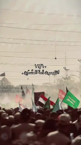 يوم الانتصار العظيم ##عيد_النصر_العراقي #يوم_النصر_العظيم #العراق #فتوى_النصر 