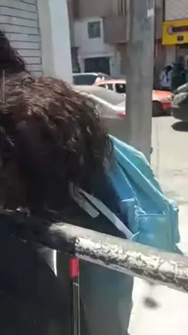 #الامتحانات بالنسبه لي 😂😂😂🍾😂😂😎