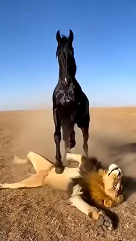 #trending #viralvideo #fyp #growmyaccount #foryou 