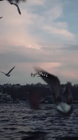 #fypシ゚viral #lyrics_songs #sadstory #persiansong #غمگین 🖤