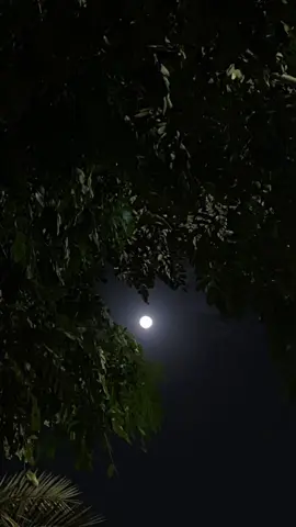 #CapCut #قران_كريم 