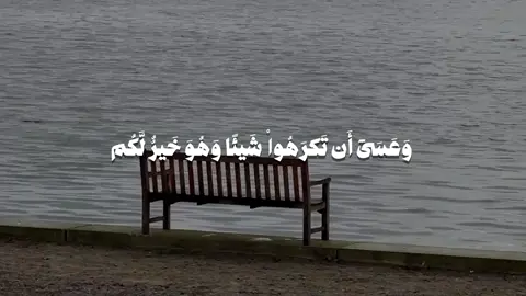 وعسى ان تكرهو شيئا وهو خير لكم؛ -البقره-#تلاوة_خاشعة #اكسبلور #ياسر_الدوسري #quran #سورة_البقرة 