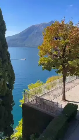 Amalfi🌿😎🍸🙏