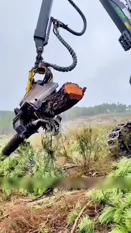 ​🤯 TEKNOLOGI GILA! 🤯 Ini bukan film sci-fi, ini mesin penebang pohon tercepat di dunia! 🪵⚡️ Dalam hitungan detik, dia bisa tebang, pangkas, dan potong batang pohon raksasa sendirian. Hampir 100% tanpa campur tangan manusia! Keren banget, kan? ​👇 Gimana menurut kalian, lebih efisien dari cara manual? Komen di bawah! ​#MesinPenebangPohon #AlatBerat #TeknologiCanggih #Logging #Inovasi