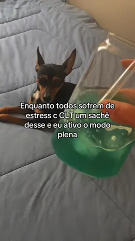 Amiga vc só sofre pq quer experimenta um desse e viva no modo zen #fypシ #foryoupage 