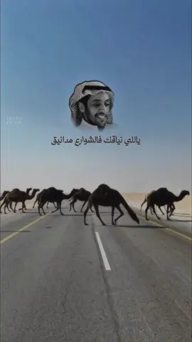 #لايك__explore___ #المغاتير#الوضح_عطايا_الله #الصفر_الشعل_الوضح_الشقح_الحمر_المجاهيم #حرش_العراقيب_جرد_الرقاب_البدو🔥 