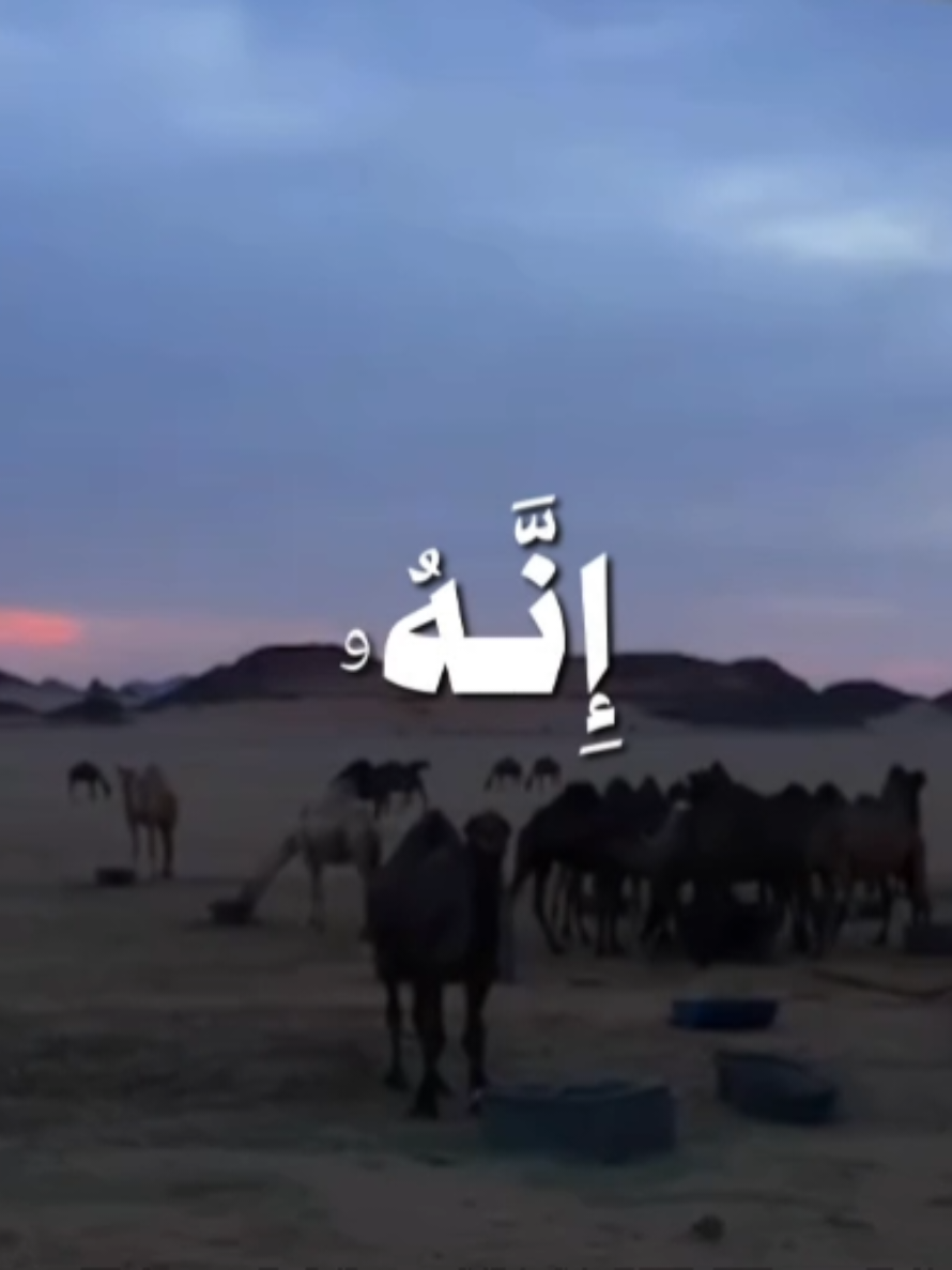 { إِنَّهُ مَنْ يَأْتِ رَبَّهُ مُجْرِمًا فَإِنَّ لَهُ جَهَنَّمَ لَا يَمُوتُ فِيهَا وَلَا يَحْيَى } [سُورَةُ طه: ٧٤] القارئ: محمد أيوب  . . . #قرآن #quran #قران_كريم #محمد_ايوب #محمد_ايوب_رحمه_الله 