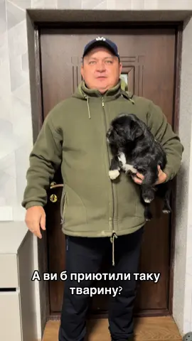 #собака #кум #кума #гумор #приколи