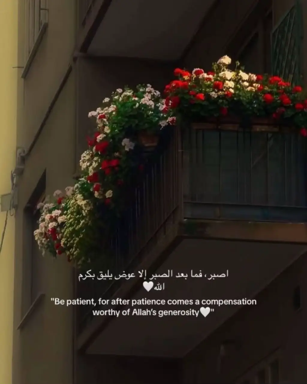 #الصبر_مفتاح_الفرج #اللهم_اعنا_على_ذكرك_وشكرك_وحسن_عبادتك #اللهم_انك_عفو_تحب_العفو_فاعف_عنا #اللهم_صل_وسلم_على_نبينا_محمد #القران_الكريم_راحه_نفسية😍🕋 