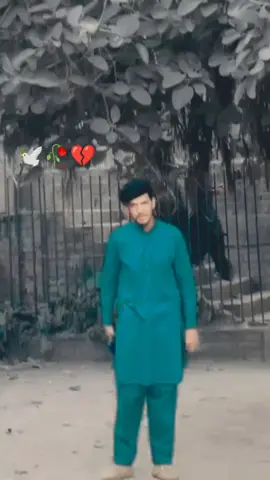 🥀💔🕊️.... for you.bawaffa log 