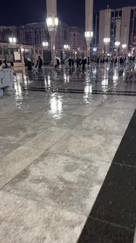 #القناعة_كنزٌ_لا_يَفنى 