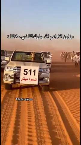 الله يبارك لهم حلال طيب #اكسبلور #مزاين_الاوادم 